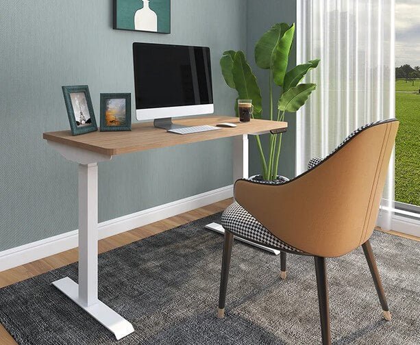 Pros, Cons and How Standing Desks Tackle Inactivity - Lazy Maisons®