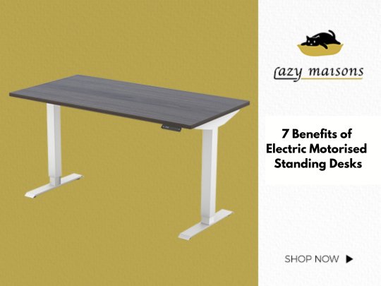 7 Benefits of Electric Motorised Standing Desks - Lazy Maisons®