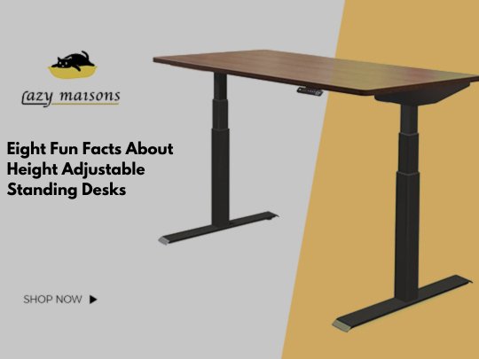 Eight Fun Facts About Height Adjustable Standing Desks - Lazy Maisons®