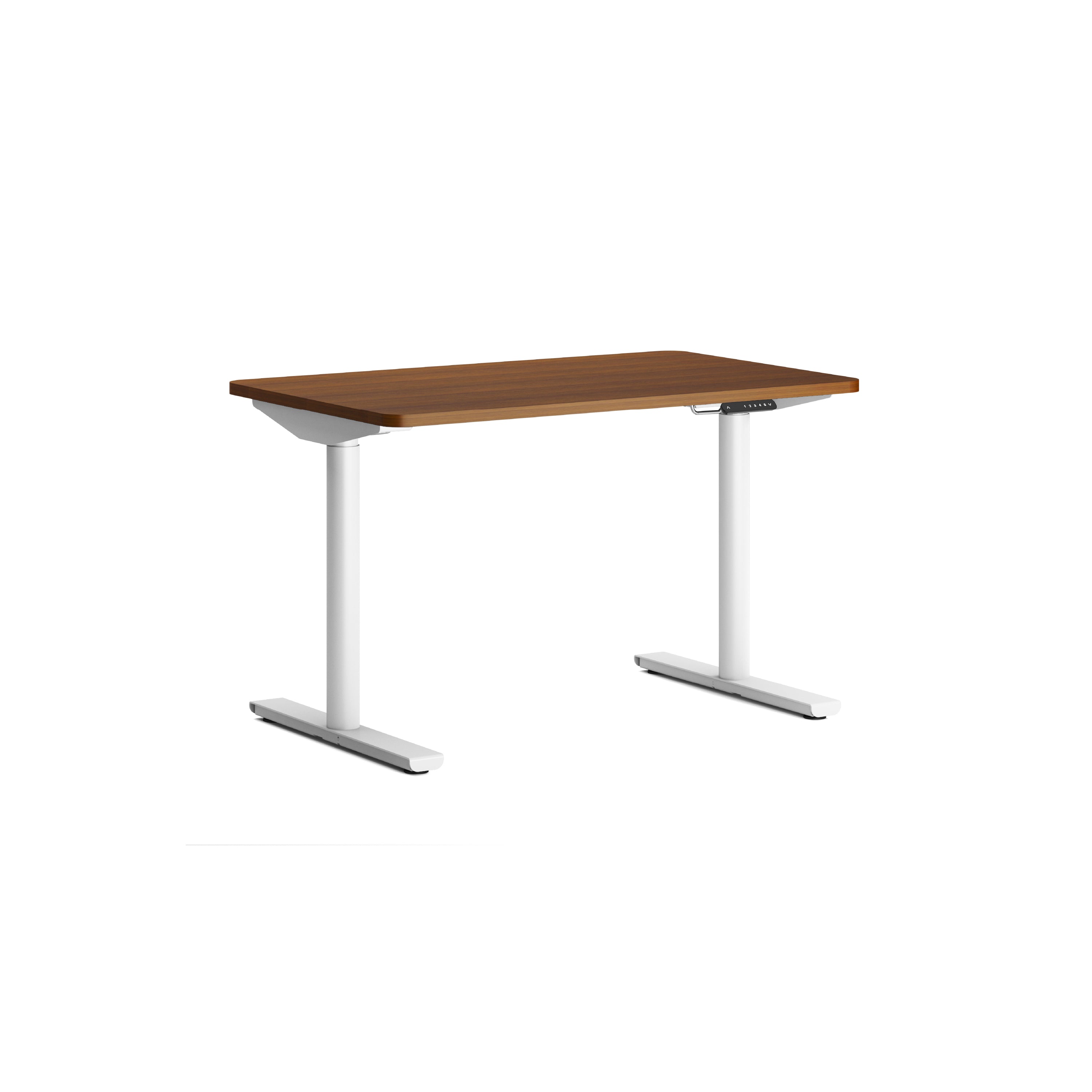 Lazy Maisons 120cm Standing Desks - Dual - Lazy Maisons®