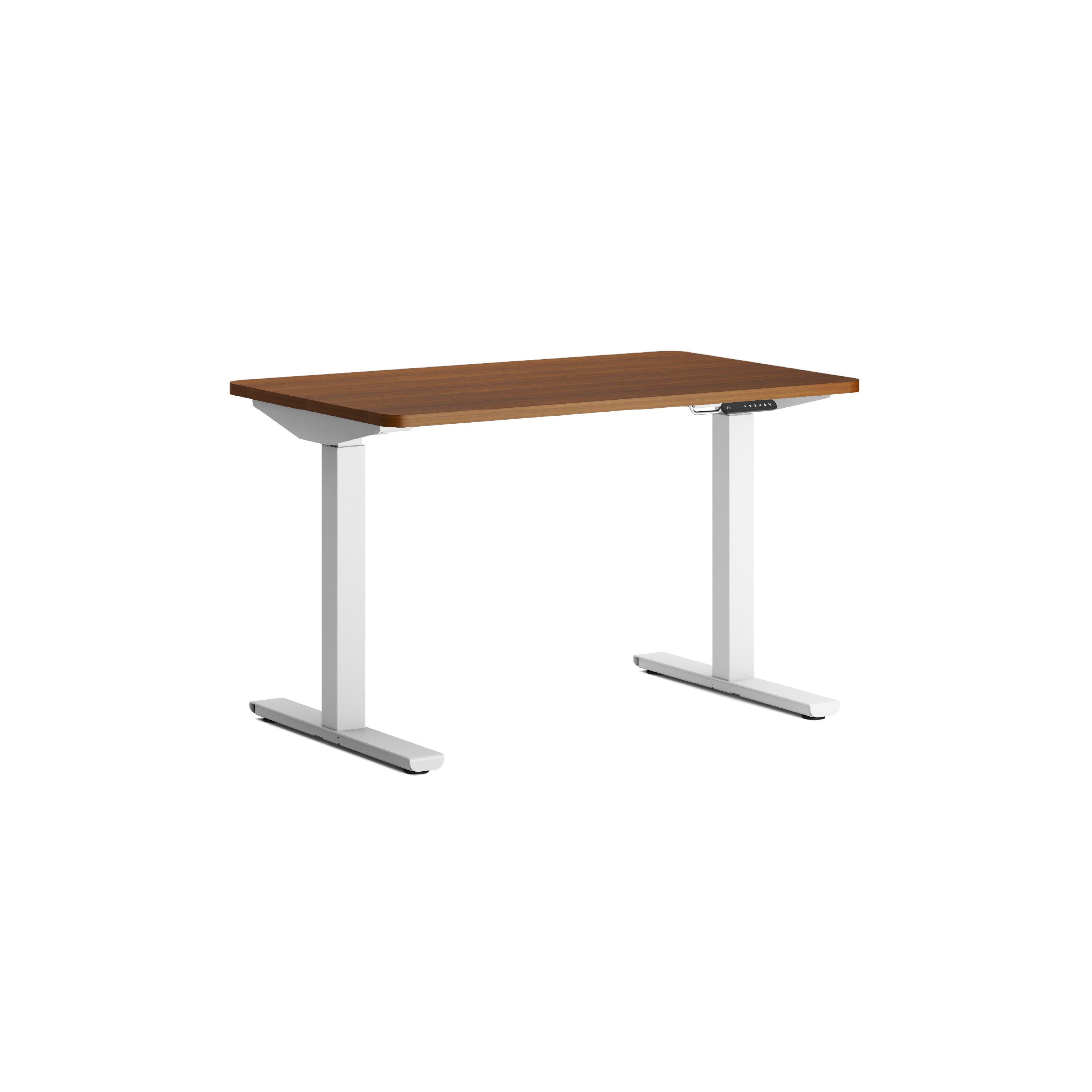 Lazy Maisons 120cm Standing Desks - Dual - Lazy Maisons®